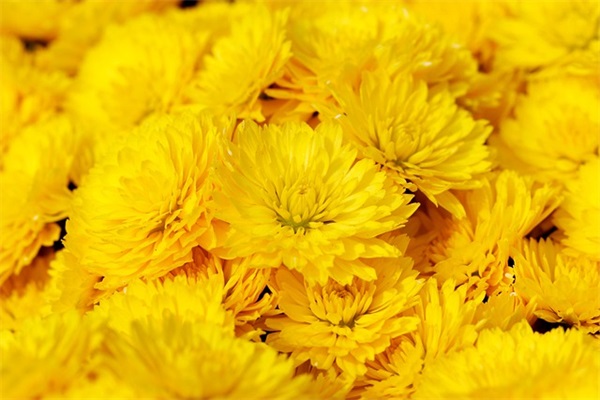 白岩松说过的话90句