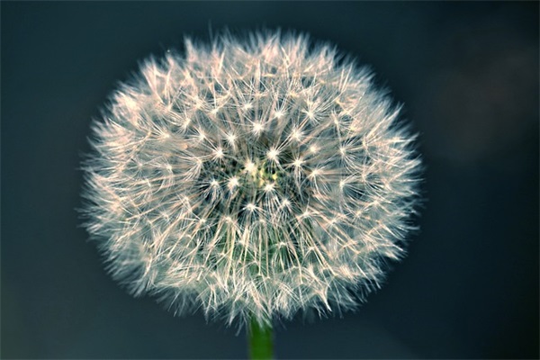 欢庆平安夜搞笑说说 搞笑说说大全