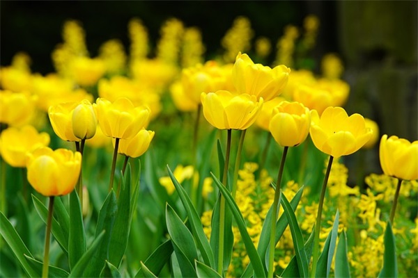 超长空间说说84句