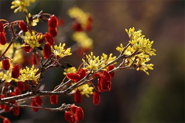 搞笑说说评论53句