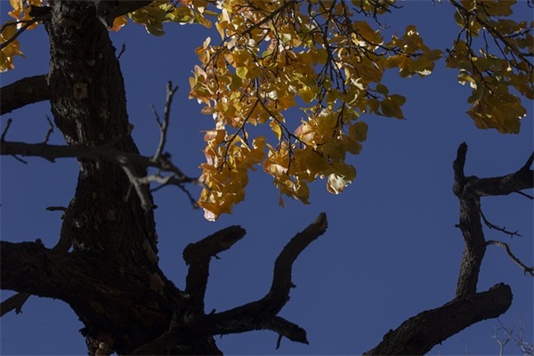 九月你好说说寄语 五月你好说说短语