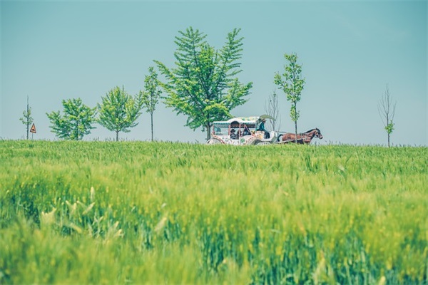 长一点情感句子说说心情