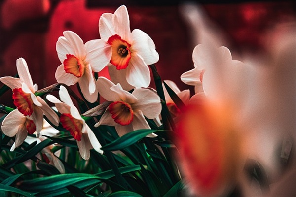 再见2025心情说说文案 说再见的文案