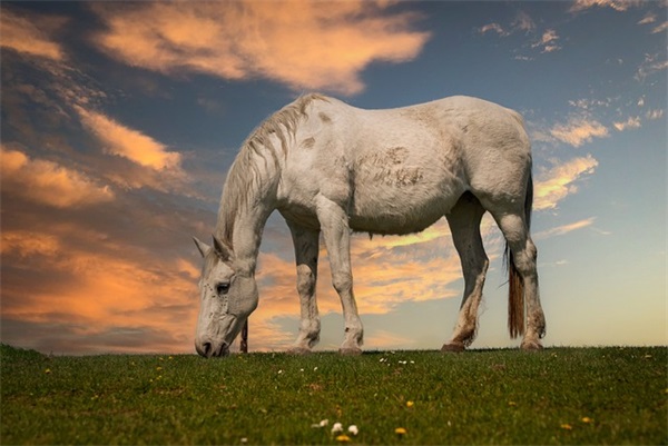 晚安伤感说说心情无奈的句子(晚安累了的图说说心情)