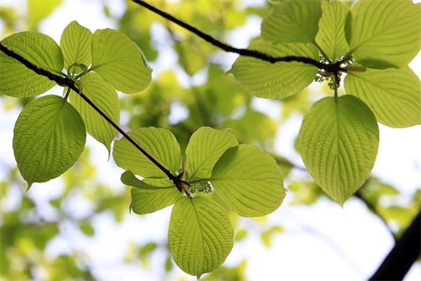 白岩松说的话90句