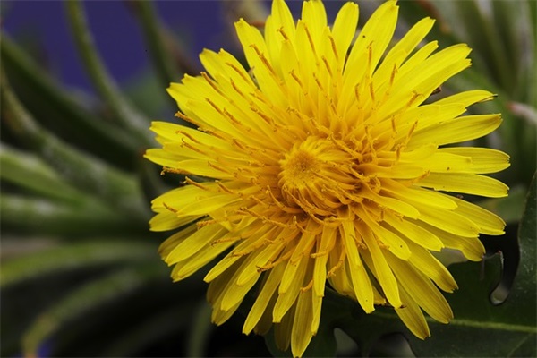 清明节性说说103句