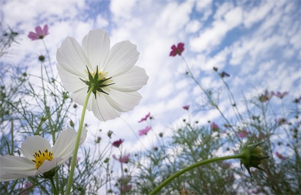 描写父亲节的感人说说 父亲节的感动话语