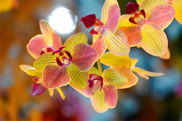 下雨感慨说说心情话