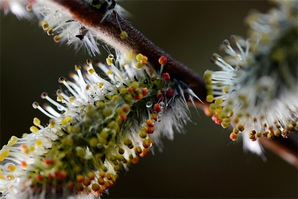 立秋经典句子说说 立秋简短句子