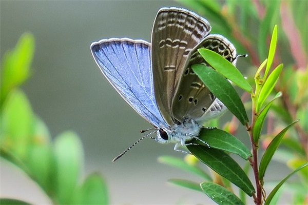 适合对象的说说超长