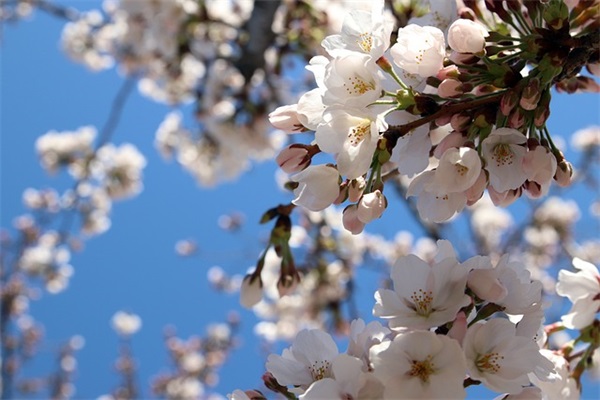 励志的句子说说心情短语