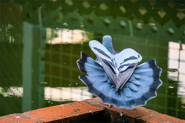 经典晚安的说说