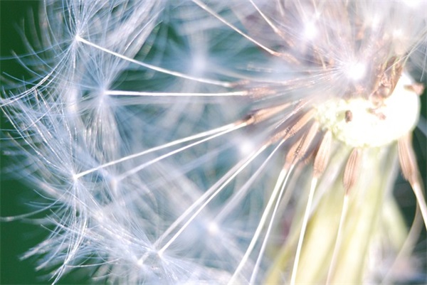 幼儿园开学的文案说说 小学开学的文案说说