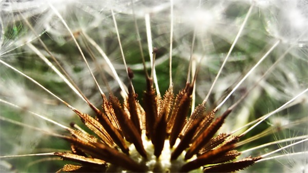 老公对老婆说的话100句