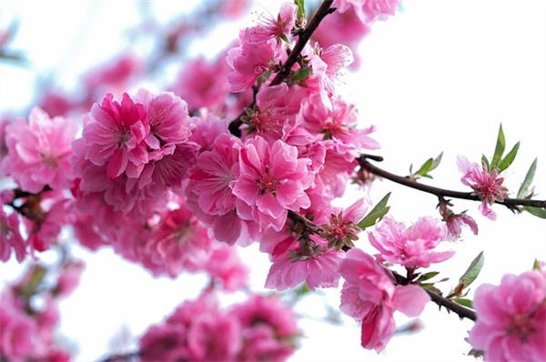 伤感的跨年说说图片文案2025大全