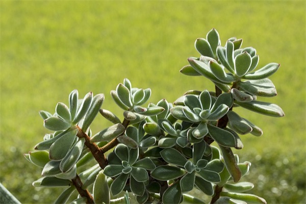 出去走走的心情说说85句