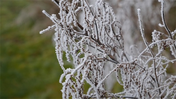 对父母说的感恩的话