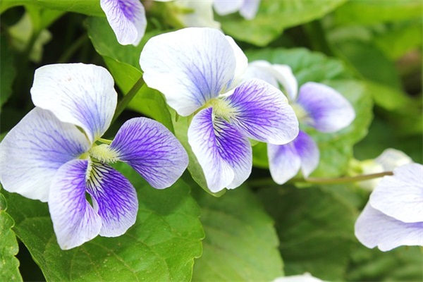 从外面回家的心情说说117句