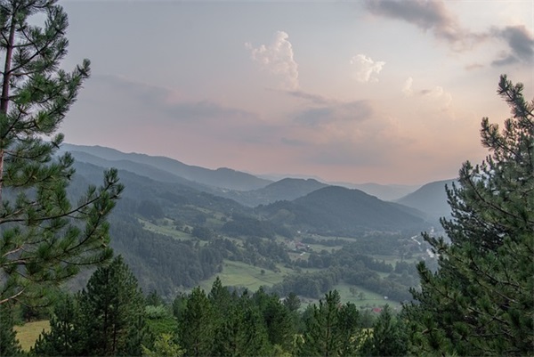 2025年爱情说说大全91句