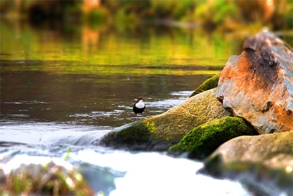 表达爱人的经典说说句子