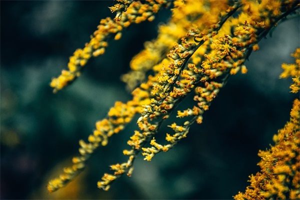 妈妈最想对孩子说的话61句