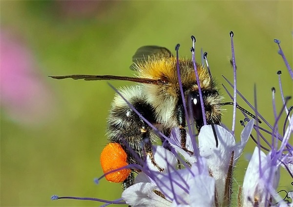 春节心情说说83句