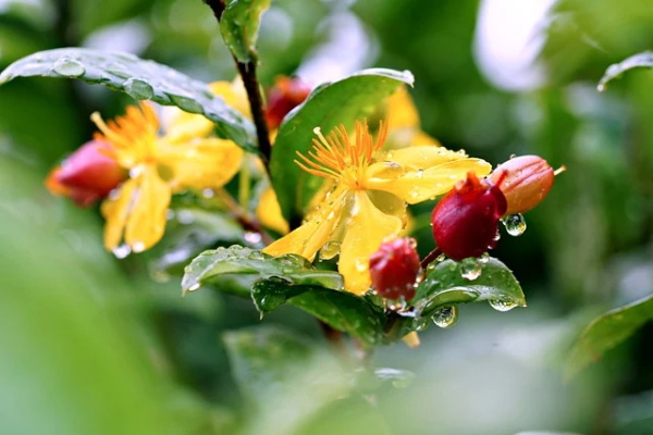 qq说说大全爱情写给他113句