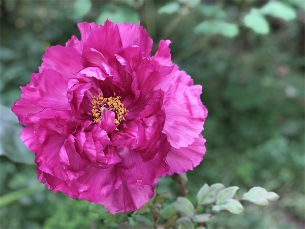 2025劳动节歌颂工人的心情说说短语句子