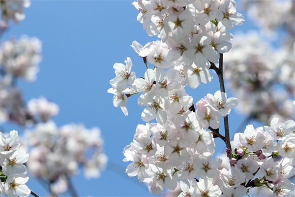 励志的说说早安