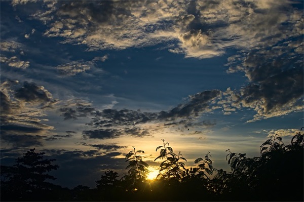 表白说说大全长篇83句