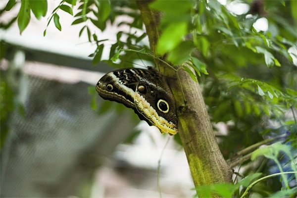 新生开学心情文案说说 新生开学文案短句