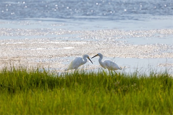 qq说说大全伤感超长104句