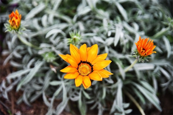 爱情伤感说说大全长篇106句