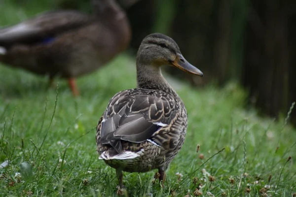 立春节气感悟说说