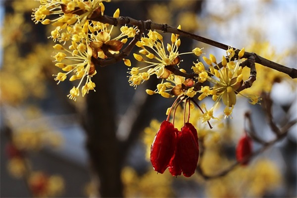 吸引人的空间生日说说