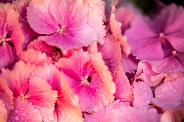 谷雨走心短句说说 谷雨节气说说