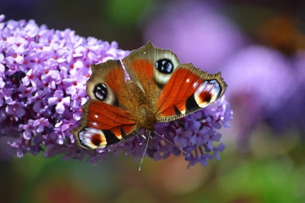 和爱人说的暖心句子 对爱人说的真心话