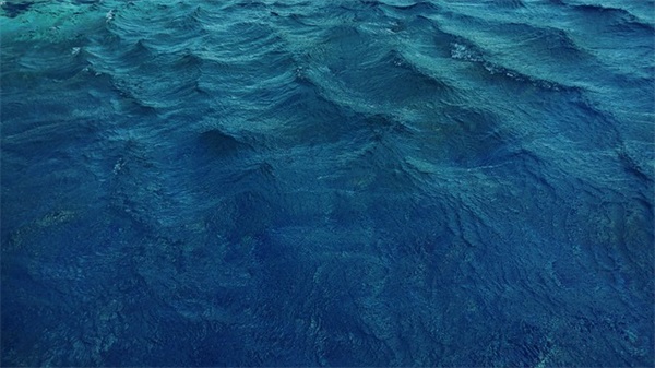 2025年新年说说心情短语82句