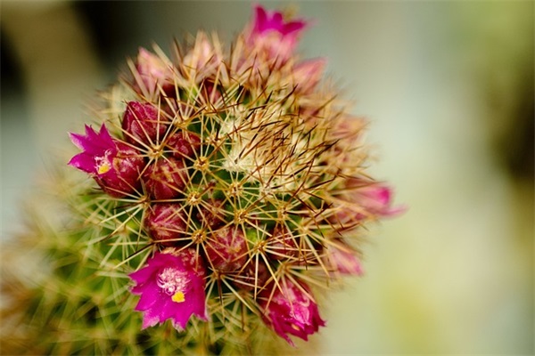 男生撩女生文案(撩女生说的文案)