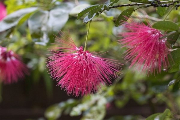 2025立春的唯美说说文案