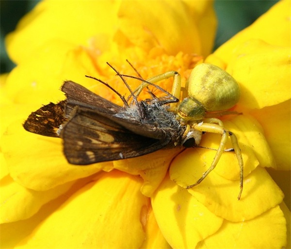 希望疫情早日结束心情说说