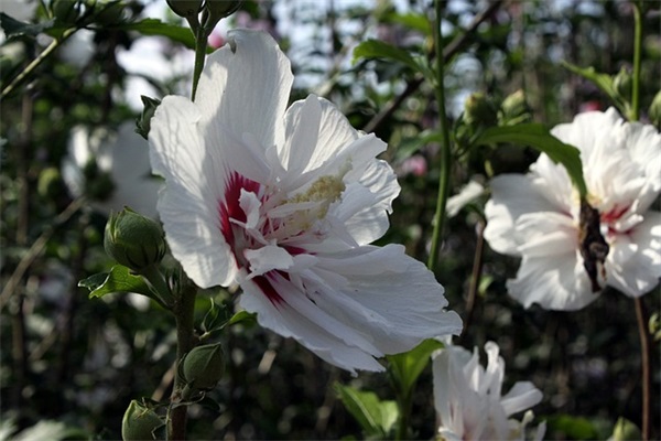 关心的话怎么说87句