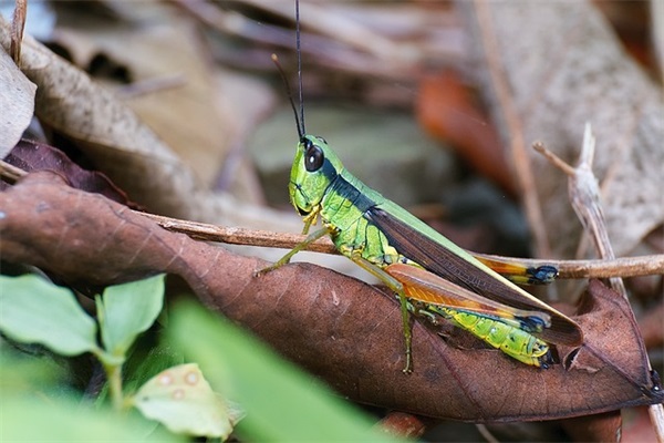 销售早安励志说说