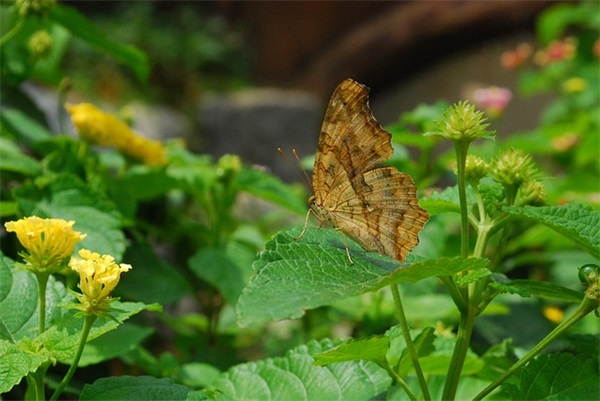 2025说说心情短语人生感悟 2025人生感悟说说短语