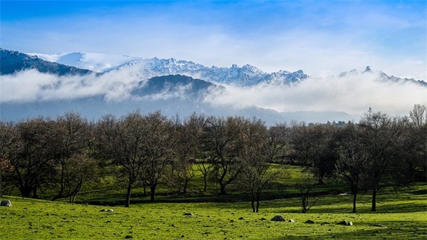 新春文案说说句子 文案句子
