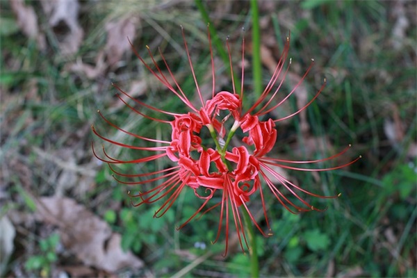 感动女友的一段话 和女朋友说的暖心的话