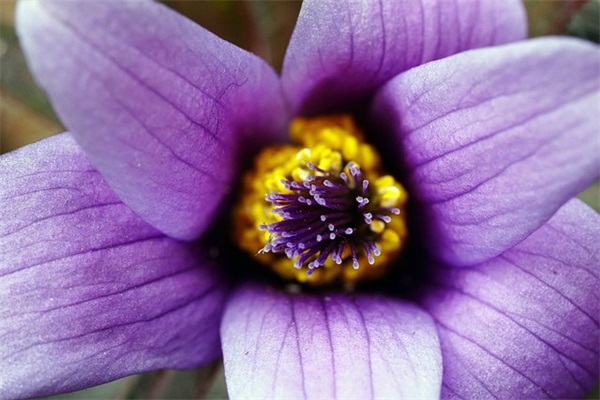 怀念初恋的说说81句