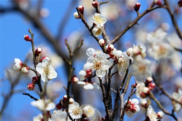 伤感个性空间说说