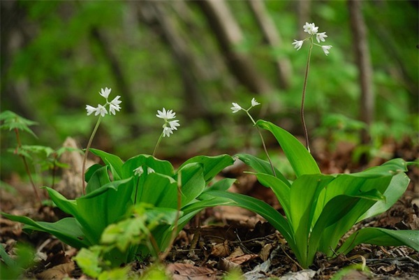 感动女朋友流泪的情话 对女朋友说的情话短句