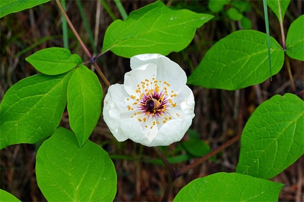 天气转凉注意保暖句子说说